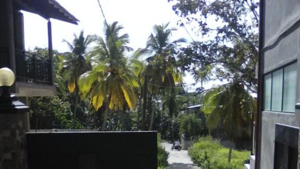A paved pathway leading to a building with a black gate, surrounded by greenery and palm trees. - Villa Aurora (Matara)