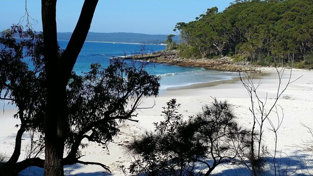 A beach with white sand, clear blue water, and trees in the foreground. - Best views of Jervis Bay, A/C,heating, free Internet & beautiful large apartment (Vincentia)