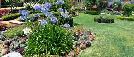 A well-maintained garden with a variety of plants and flowers, a neatly trimmed lawn, and a brick building in the background.
