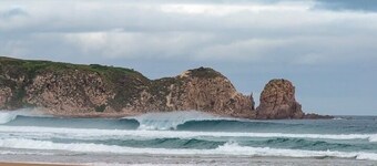 Cape de Koala Cottage en laine
