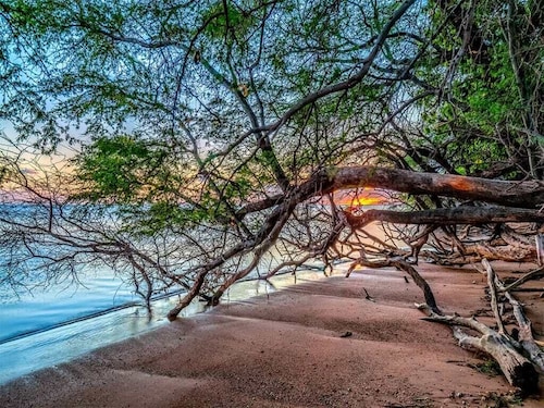 Ground Floor Ocean View W/Lanai–Molokai Shores