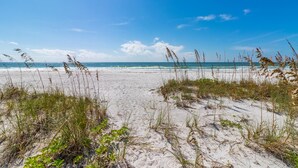 En strand med sand, hav og sparsom vegetation.