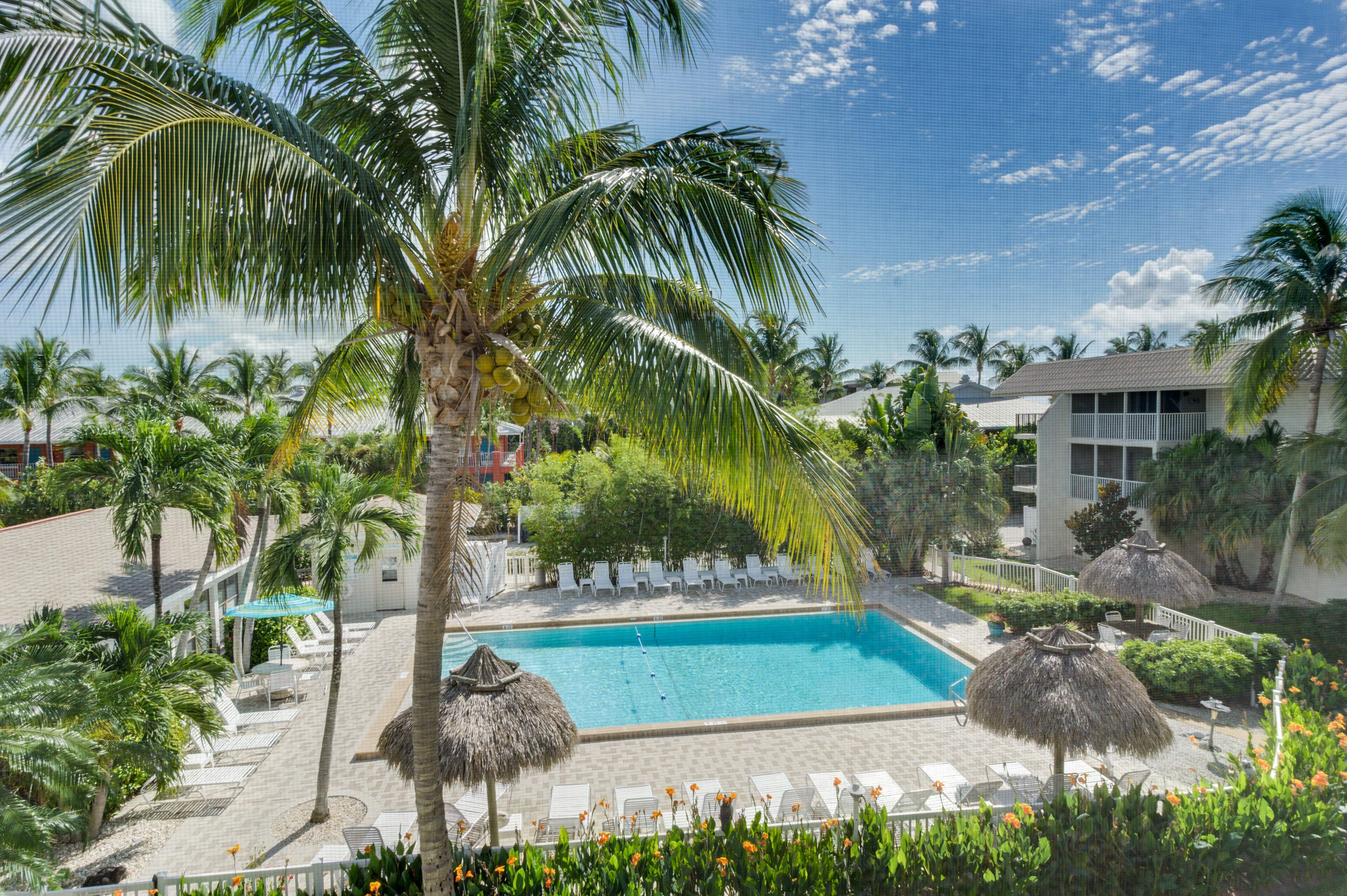 Charming Pool View
