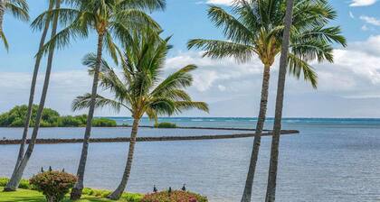 Tropical Ocean View w/Lanai, WiFi, Cable TV-#212