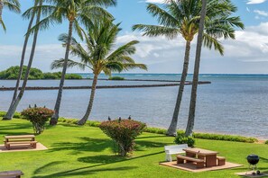 A grassy outdoor area with palm trees, a body of water, and picnic tables. - Modern Hawaii Style w/Kitchen, WiFi, Lanai–#205 (KAUNAKAKAI)
