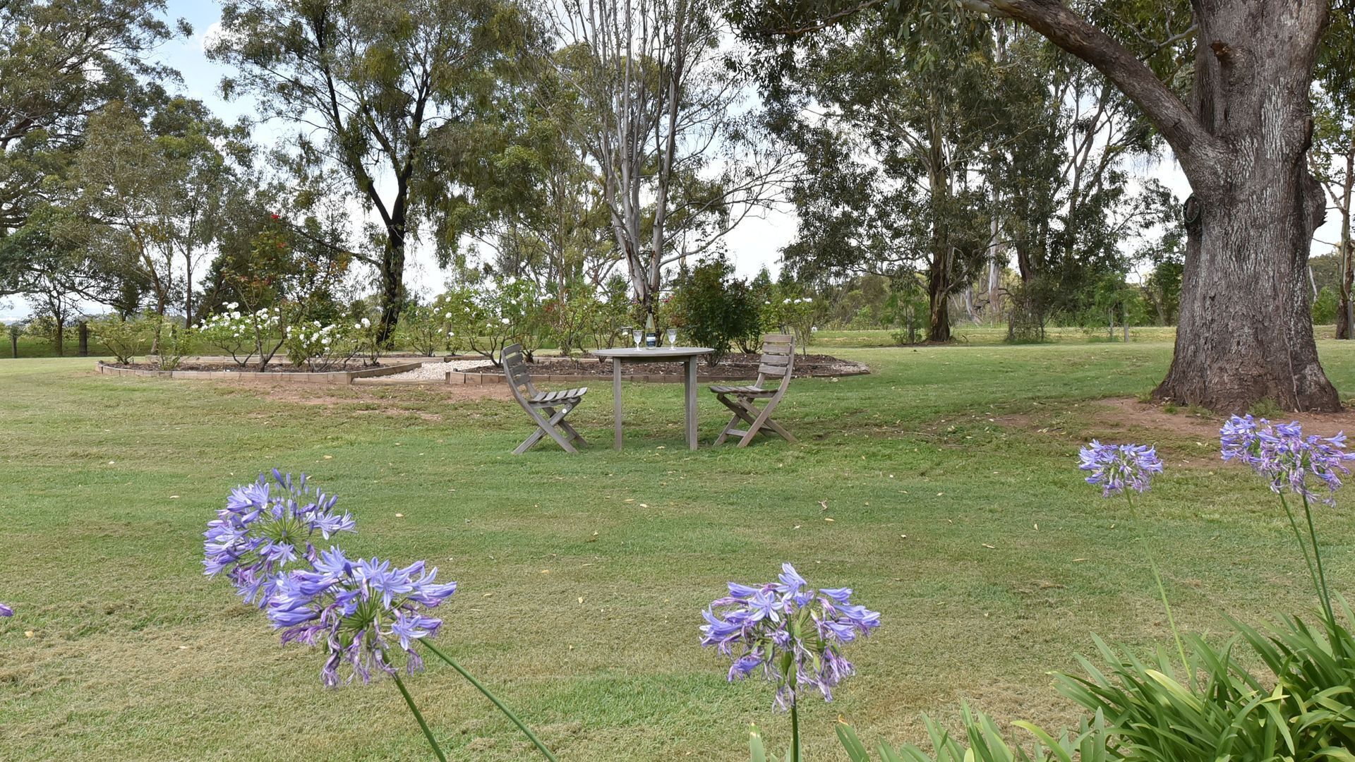 La Sila Homestead on Marrowbone - cutest cottage in the Hunter with killer views — image 30