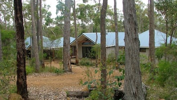 A forested area with several cabins featuring pitched roofs and wooden structures.
