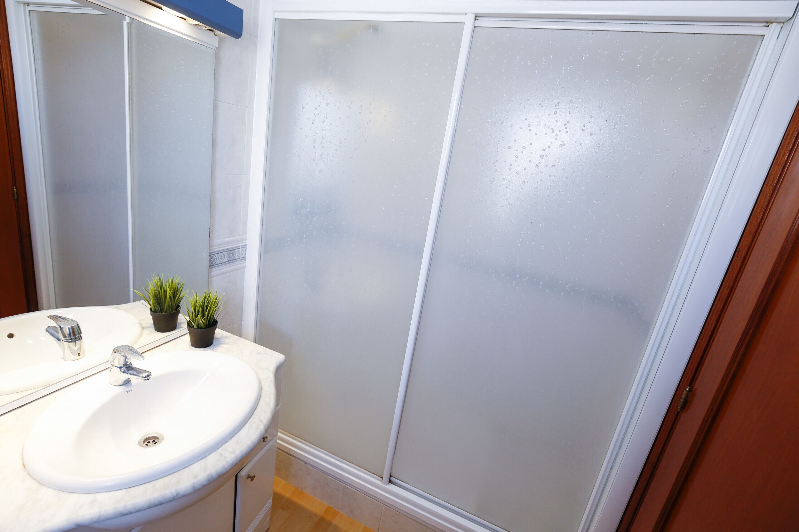 Een badkamer met een wit wastafelmeubel, twee kleine planten in potten, een spiegel en matglazen deuren.