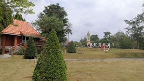 รูปภาพที่ไม่ได้จัดประเภท, 4 จาก 42, ปุ่ม