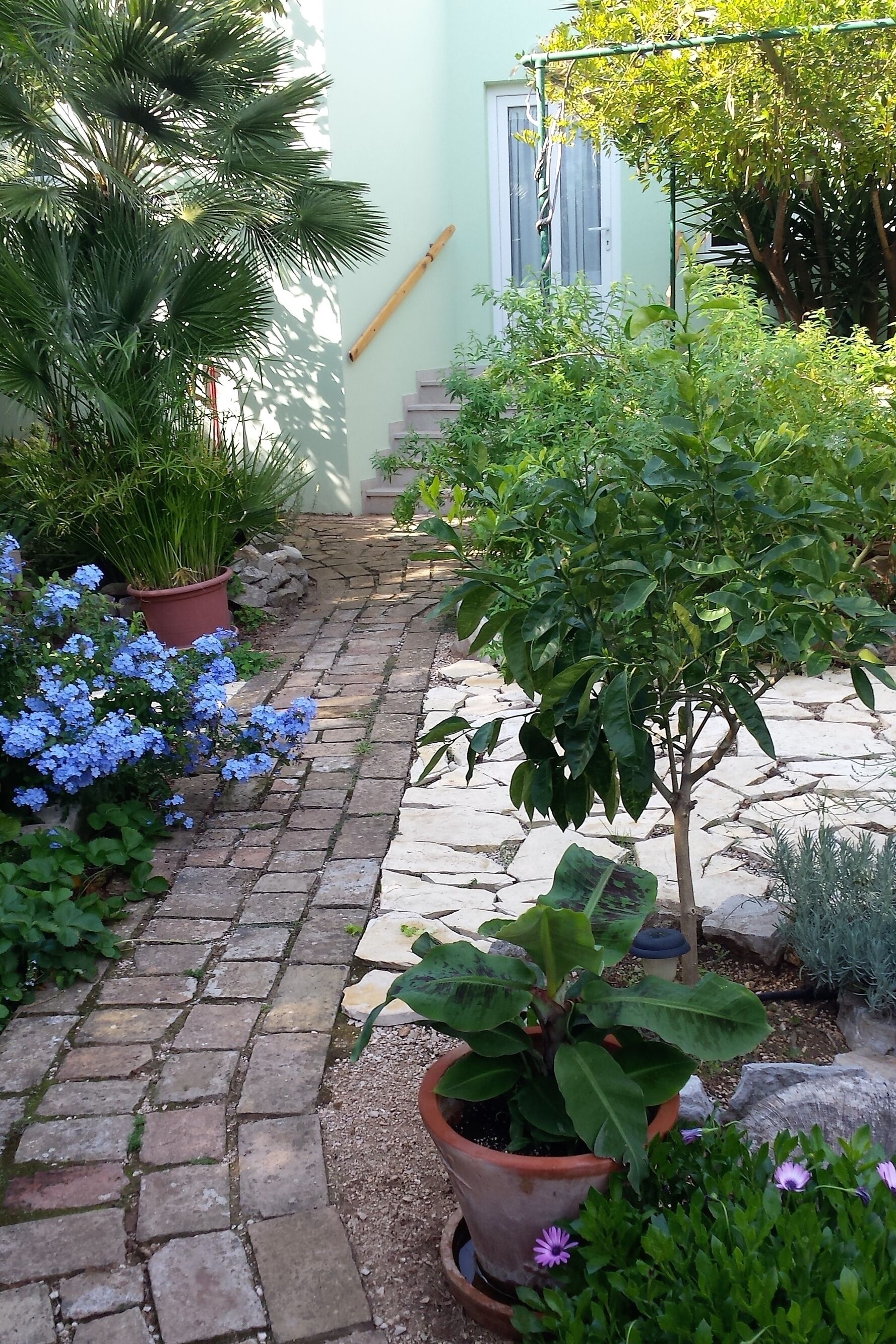 Courtyard