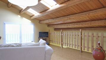 Televisión y chimenea