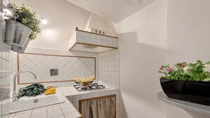 Une cuisine équipée d’un évier, d’une cuisinière et d’une plante suspendue.