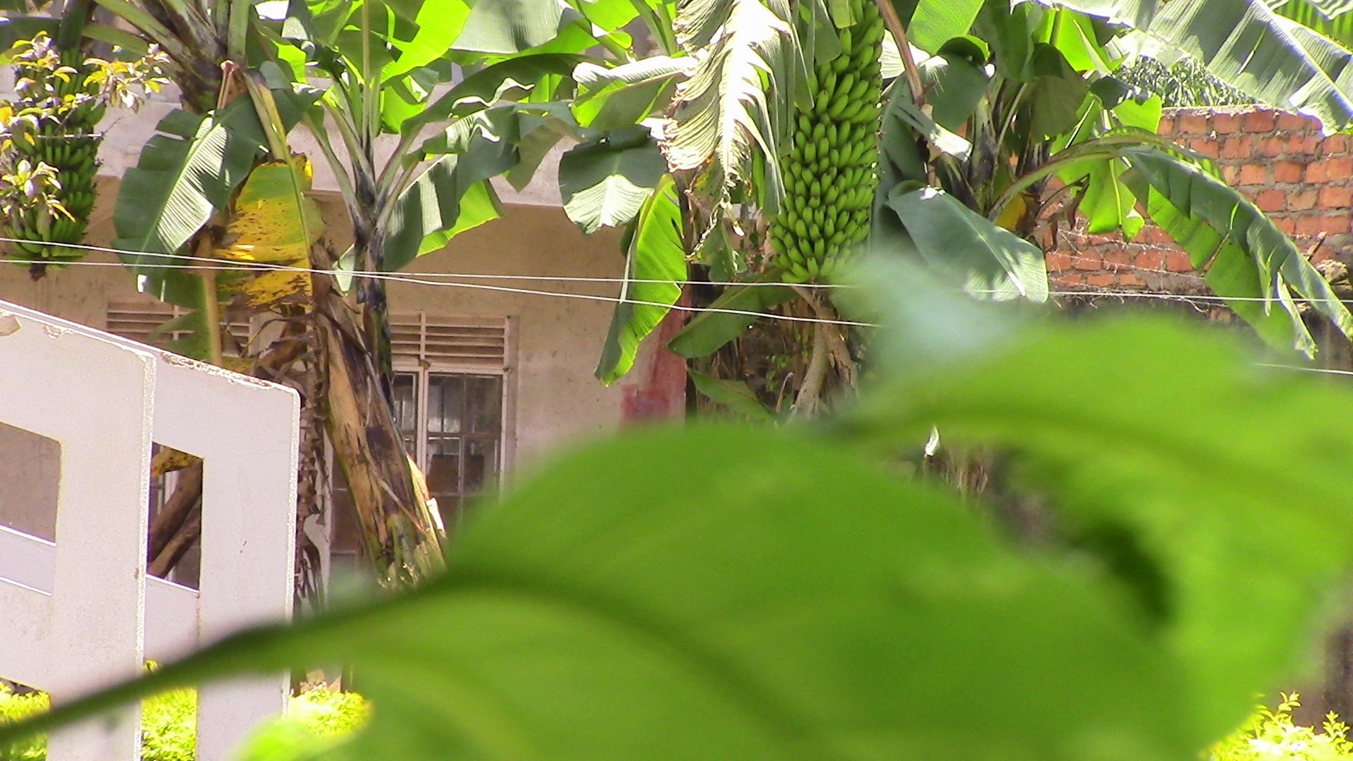 Photo - Skyway Hotel