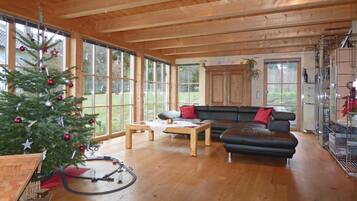 TV, fireplace, DVD player