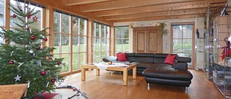 Televisión, chimenea y reproductor de DVD