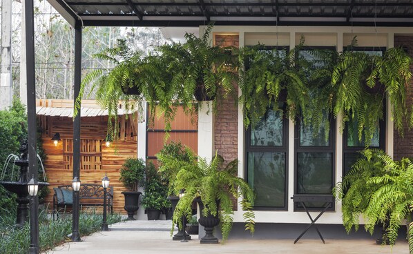 A covered outdoor area with potted ferns and a wooden bench.