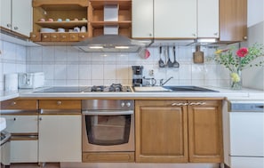 Fridge, stovetop, dishwasher, coffee/tea maker