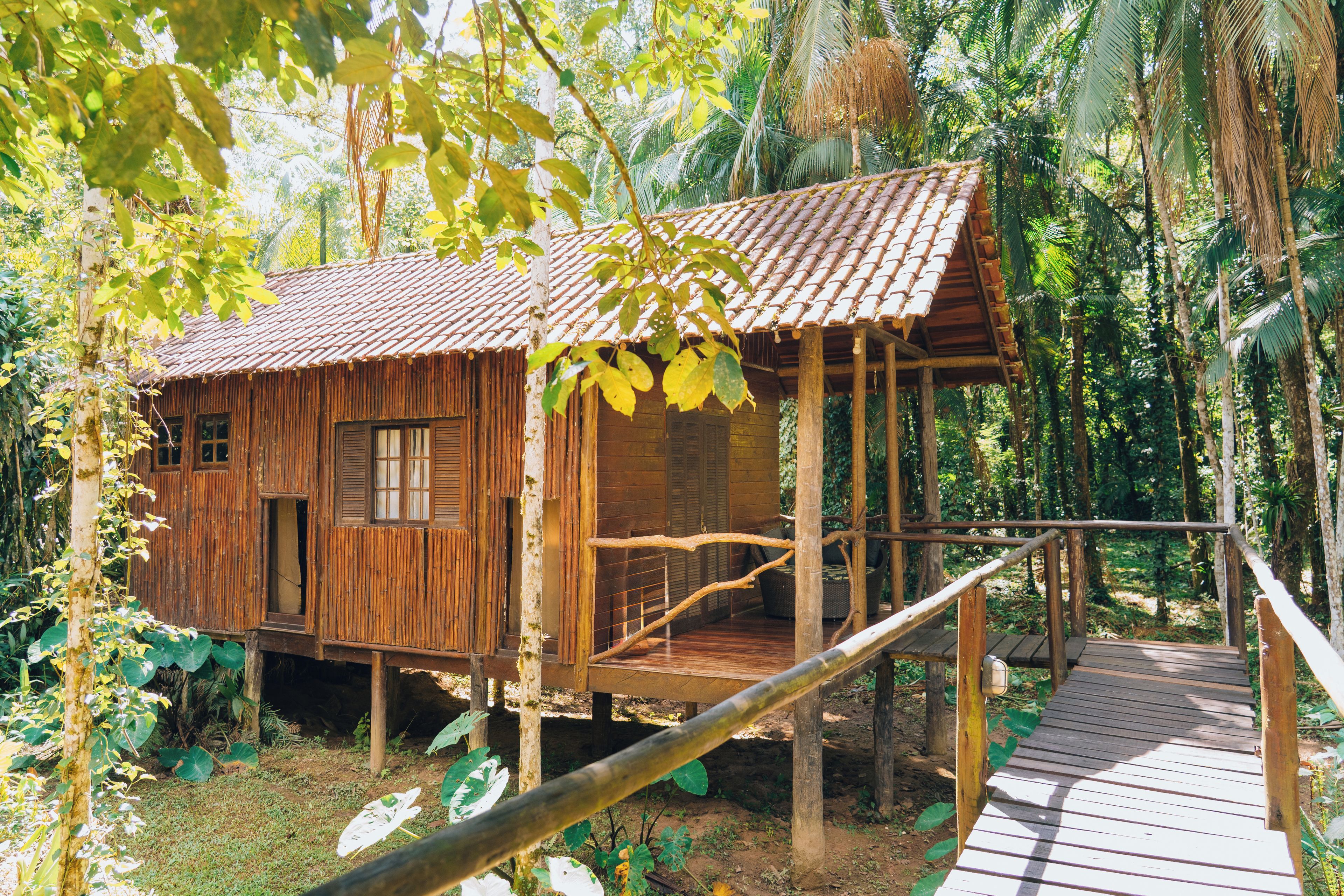 Une cabane en bois avec un toit recouvert de tuiles, entourée d’une végétation luxuriante.