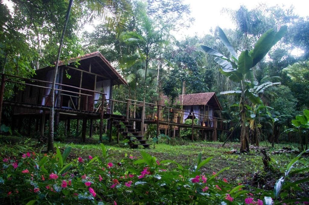 A wooden house with a balcony, surrounded by lush greenery and flowering plants.