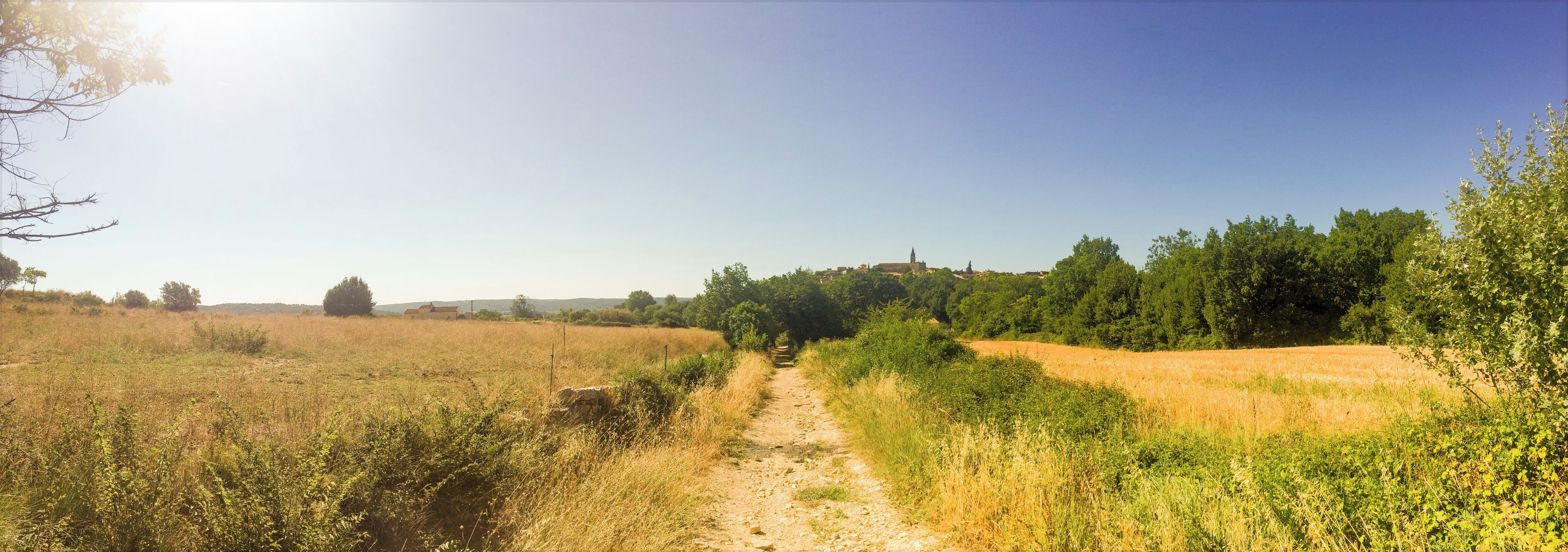 Un paysage rural avec un chemin de terre serpentant à travers des champs et des arbres, et un bâtiment visible au loin.