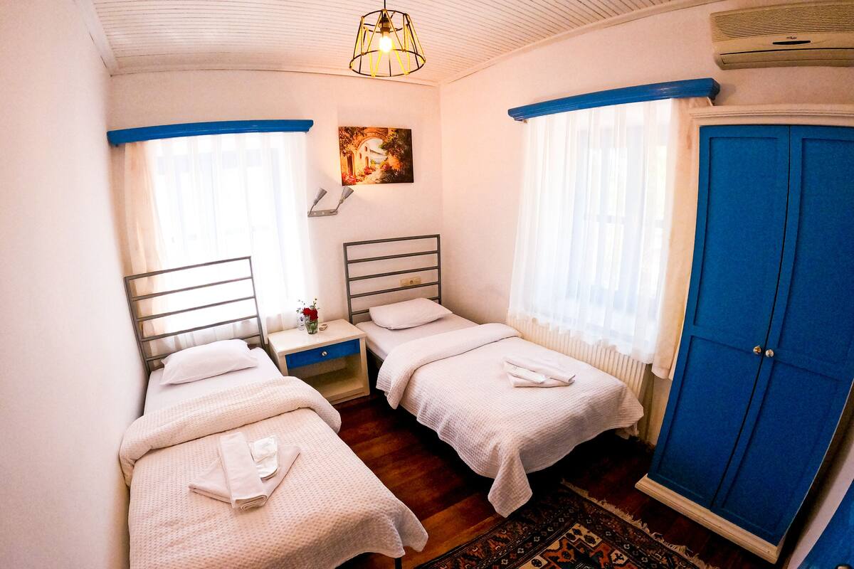 Un dormitorio con dos camas, una mesita de noche, un cuadro colgado en la pared, una puerta azul y una alfombra estampada.