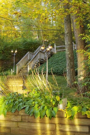 Property grounds - Little Dipper Retreat Lakefront Cottage, Sunsets & Kayaks! (Holland)