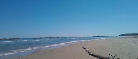 Una spiaggia nelle vicinanze