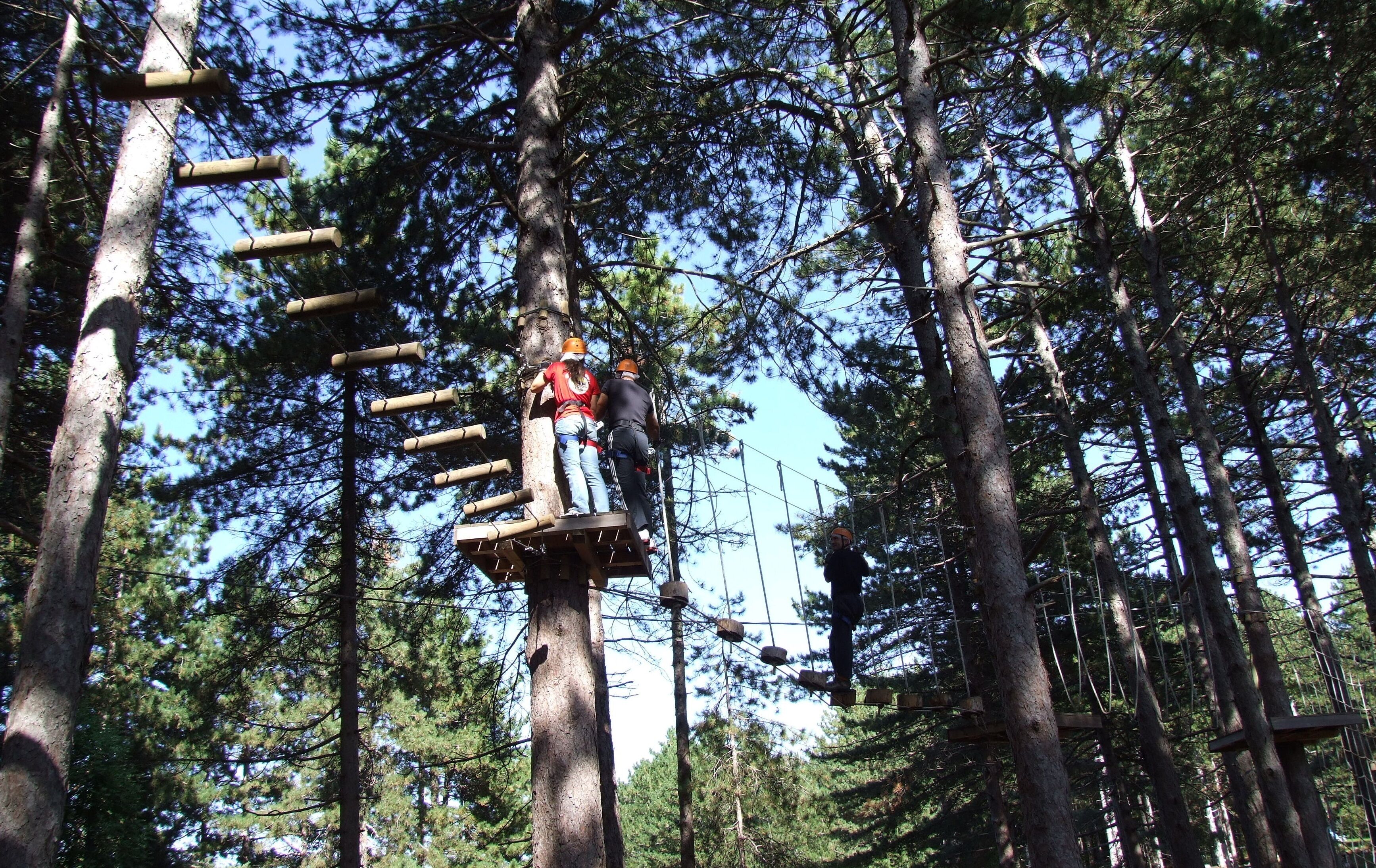 Une personne qui se déplace sur un parcours d'accrobranche dans une forêt.