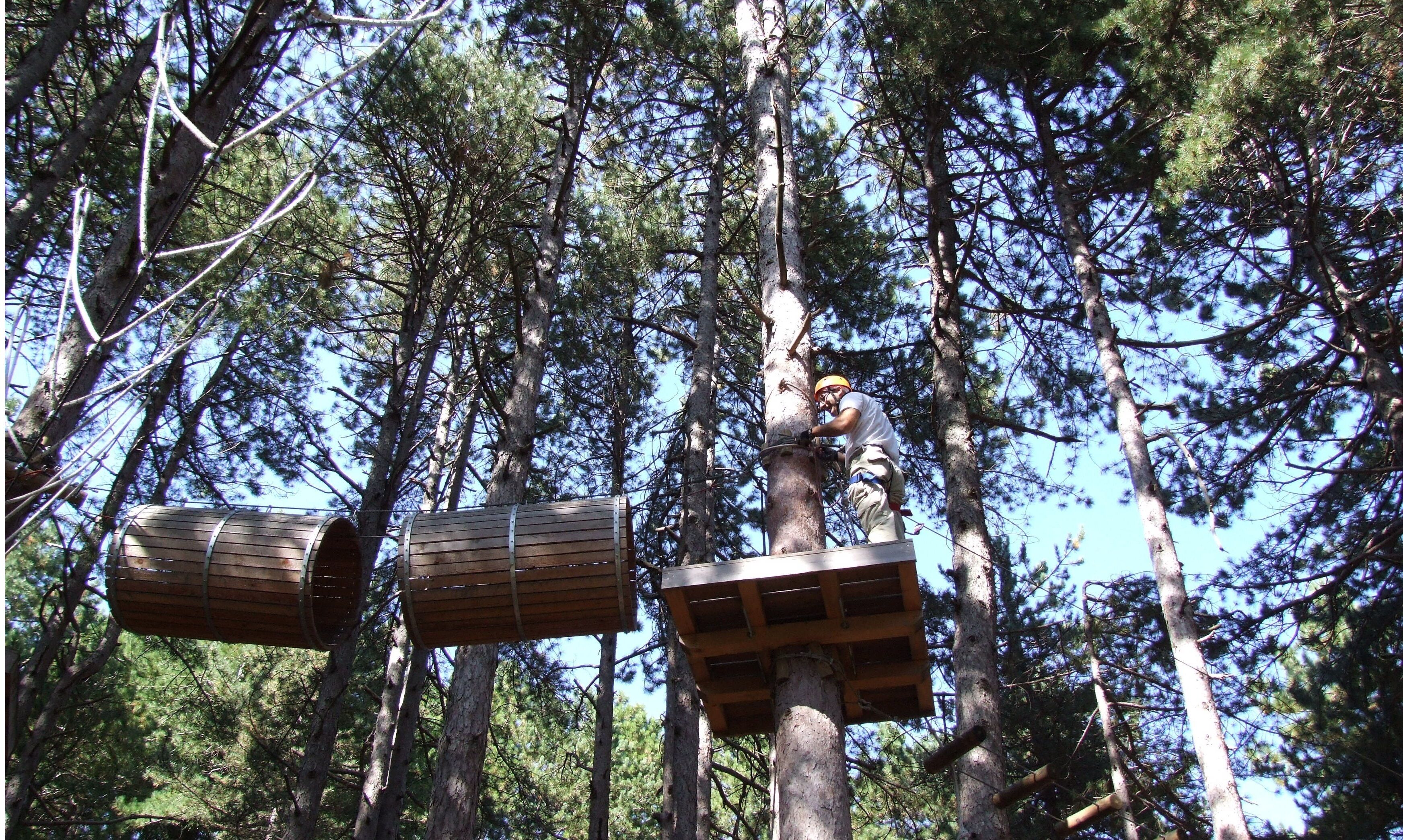 Una persona su una piattaforma rialzata tra gli alberi in una foresta, con due piattaforme di legno fissate a un albero.