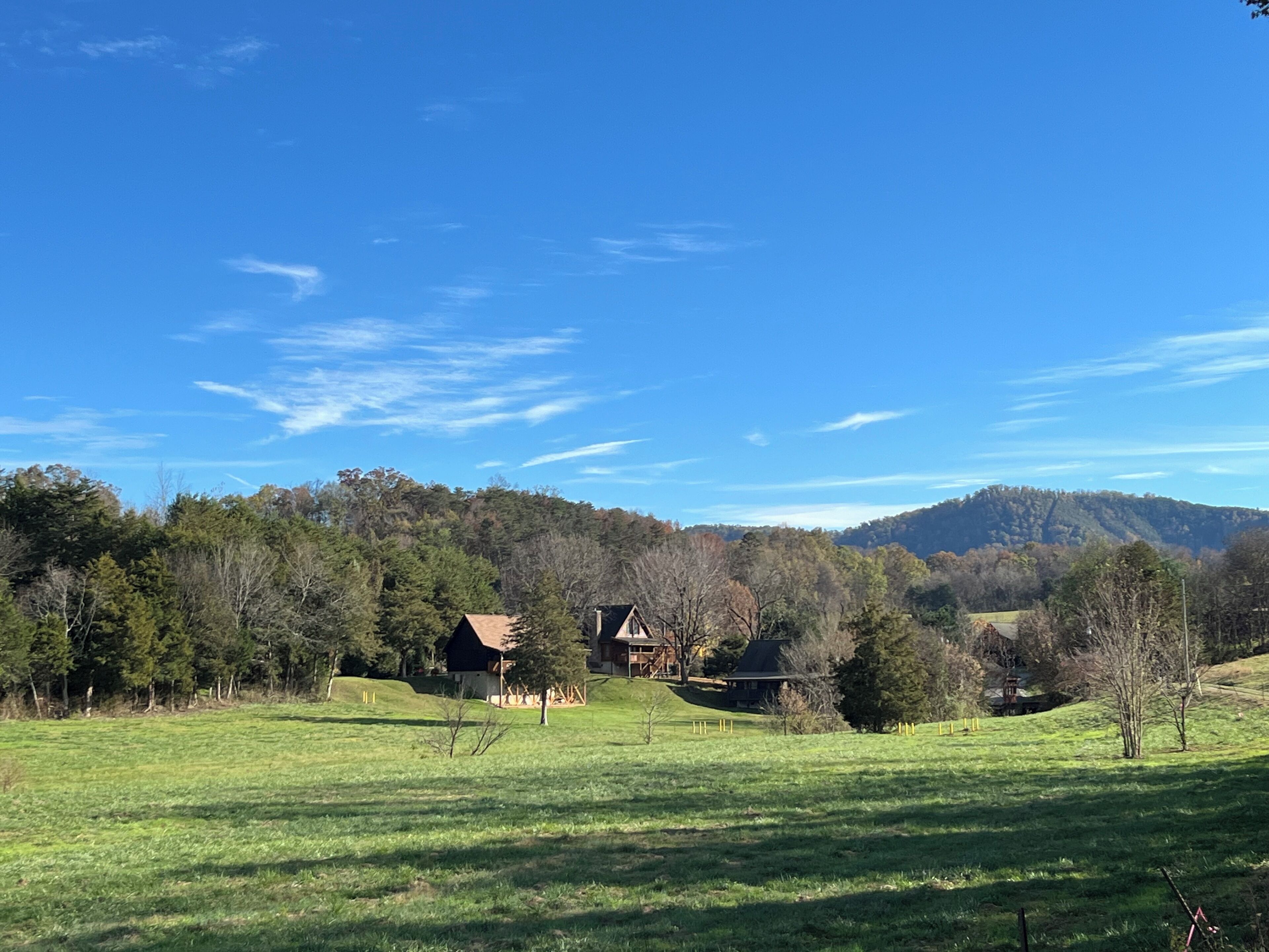 A rural landscape with a large field, a few scattered trees, and a mountain in the background.