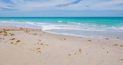PRIVATE DETACHED GUEST HOUSE 2 MINUTE WALK TO BEACH, SURROUNDED BY NATURE.