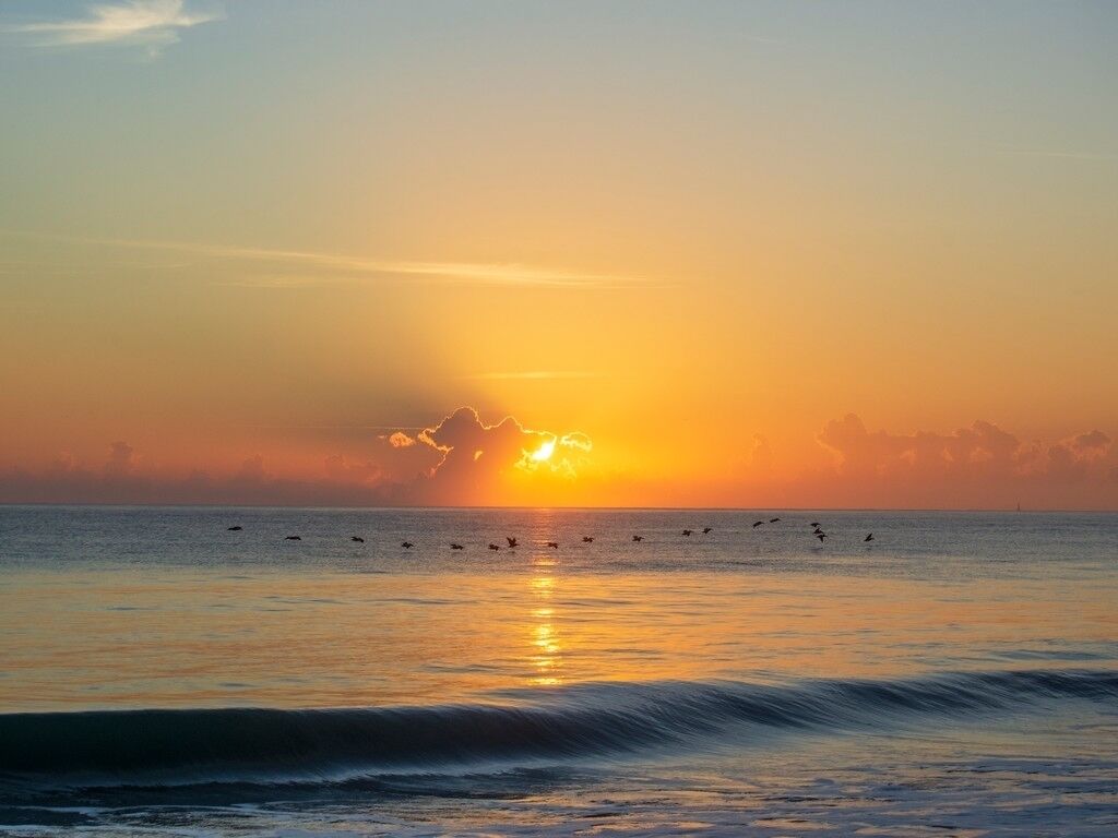 Private beach, sun loungers, beach towels