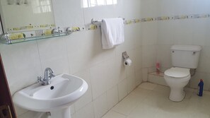A bathroom with a white sink, a toilet, and a glass shelf above the sink.
