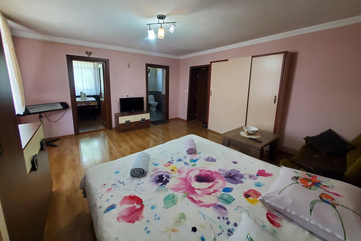 Deluxe driepersoonskamer | Een strijkplank/strijkijzer, gratis wifi, beddengoed