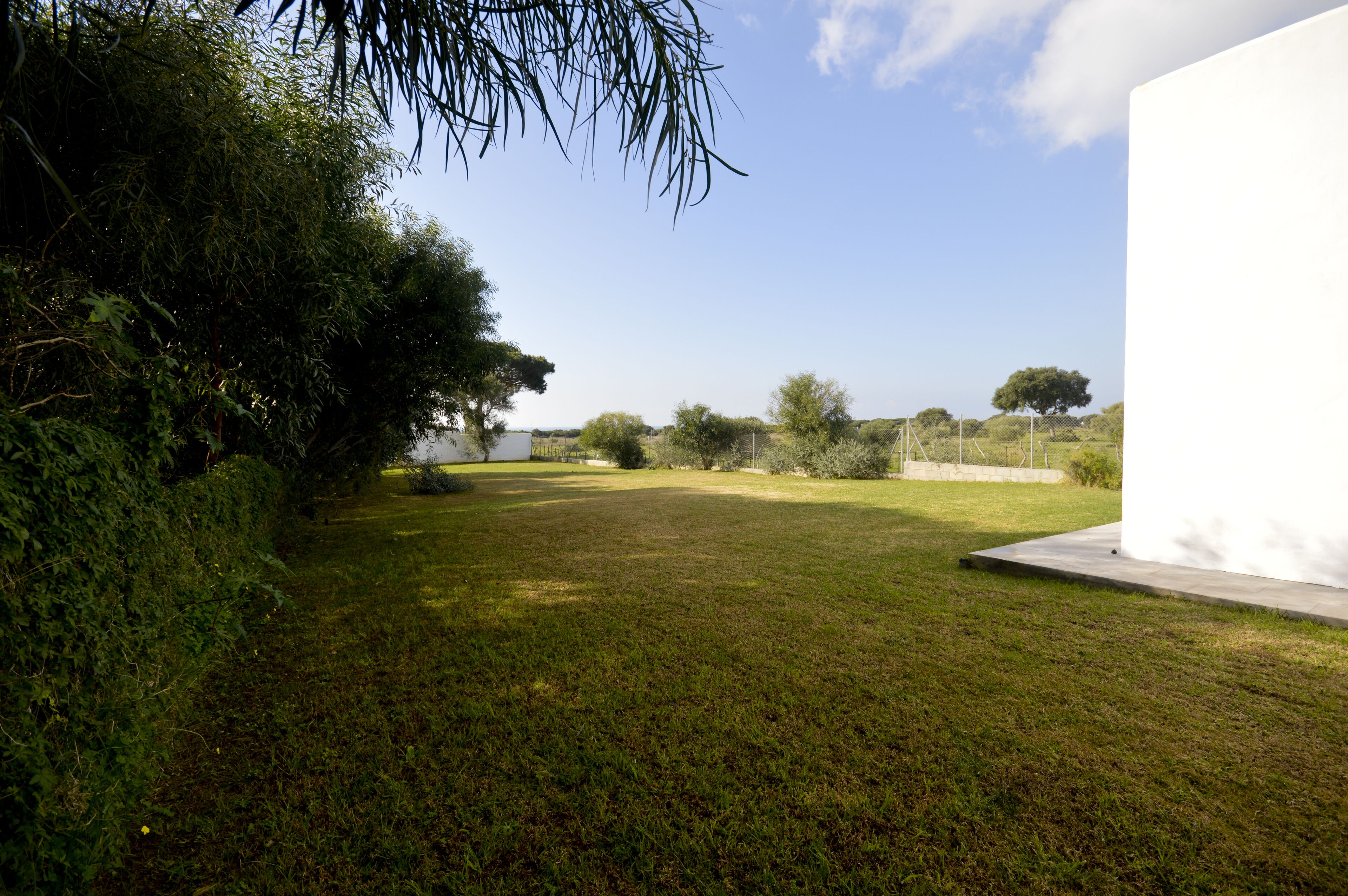 A grassy outdoor area with a white building, trees, and a clear sky.