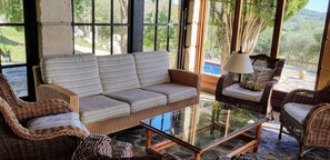 Smart TV, chimenea, reproductor de DVD y libros 