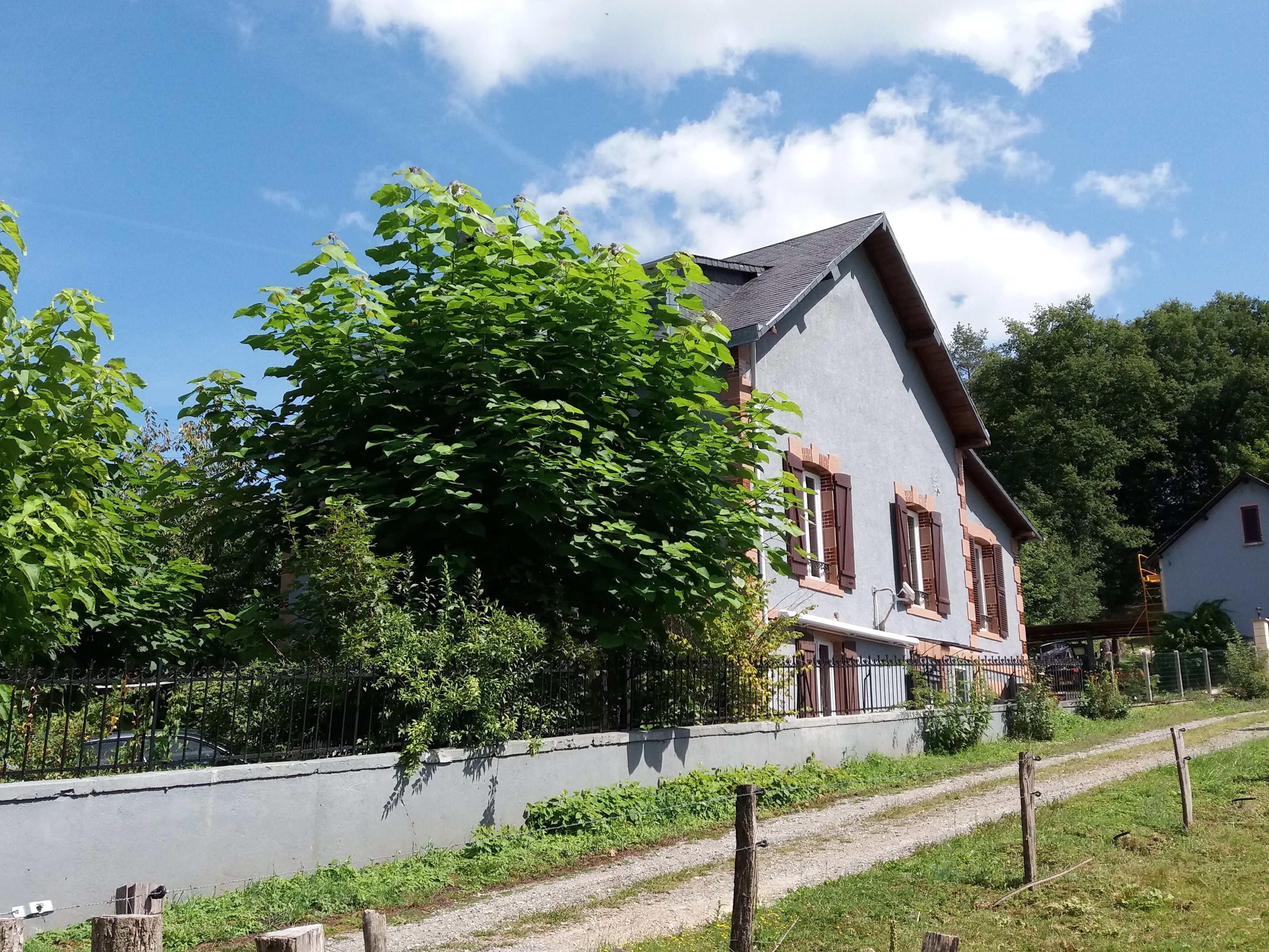 Une maison à deux étages avec un toit en pente, un grand arbre à l’avant et un chemin de gravier menant à l’entrée.