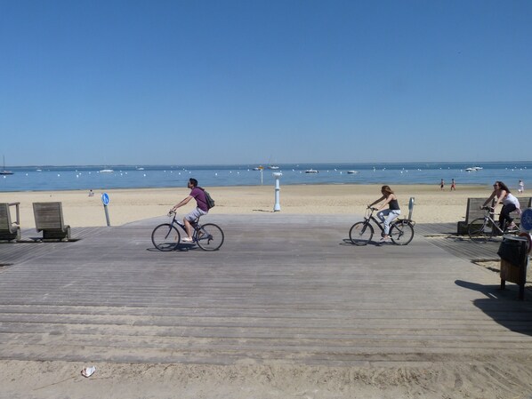 Playa en los alrededores