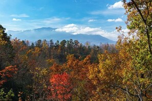 Property grounds - AMAZING VIEWS - OVER THE TOP AMENITIES - LUXURY PENTHOUSE SUITE - GOLF COURSE! (Gatlinburg)