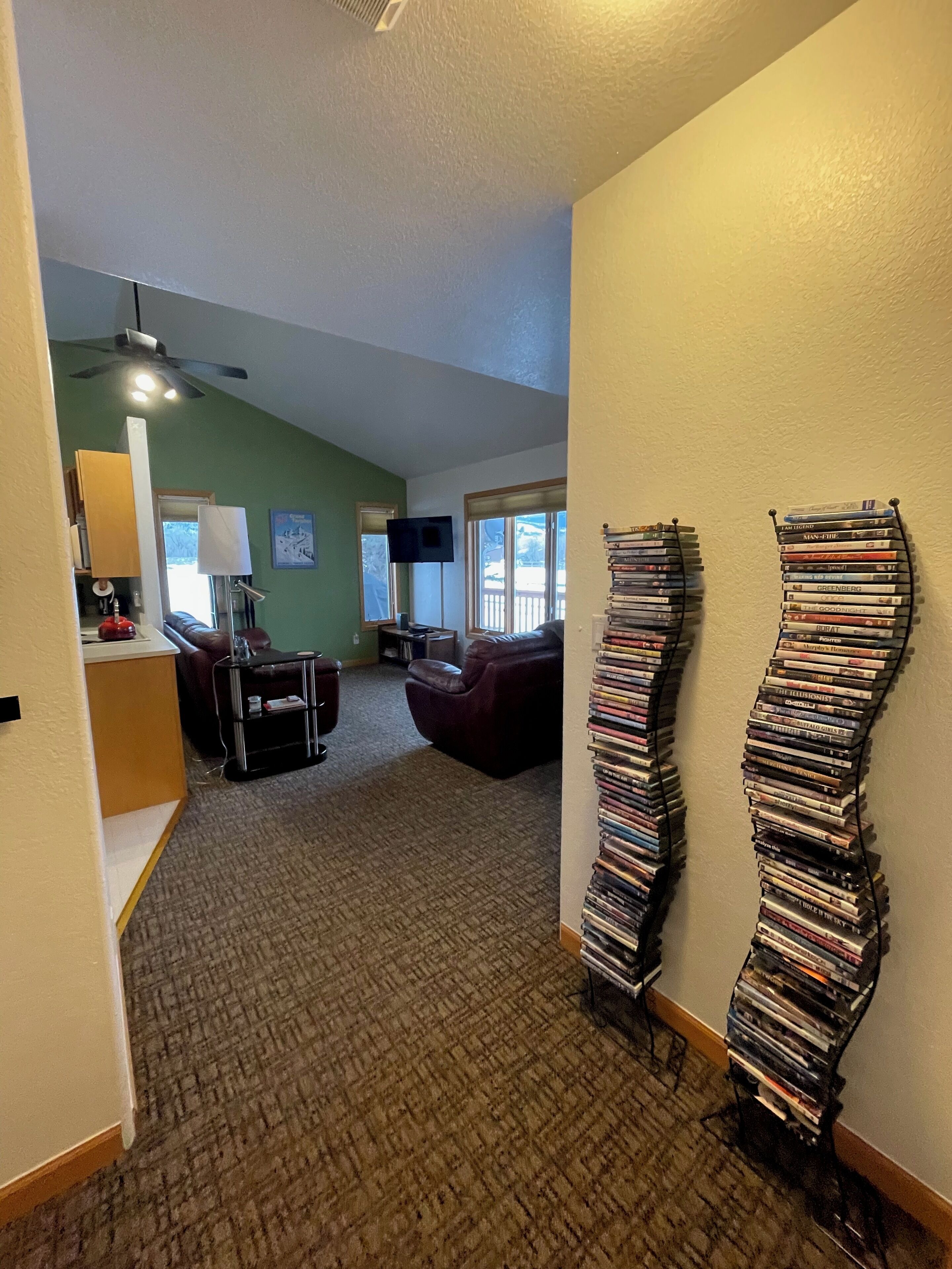 智能电视、DVD 播放器、书、影片库