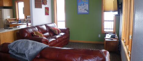 Smart TV, DVD player, books, video library