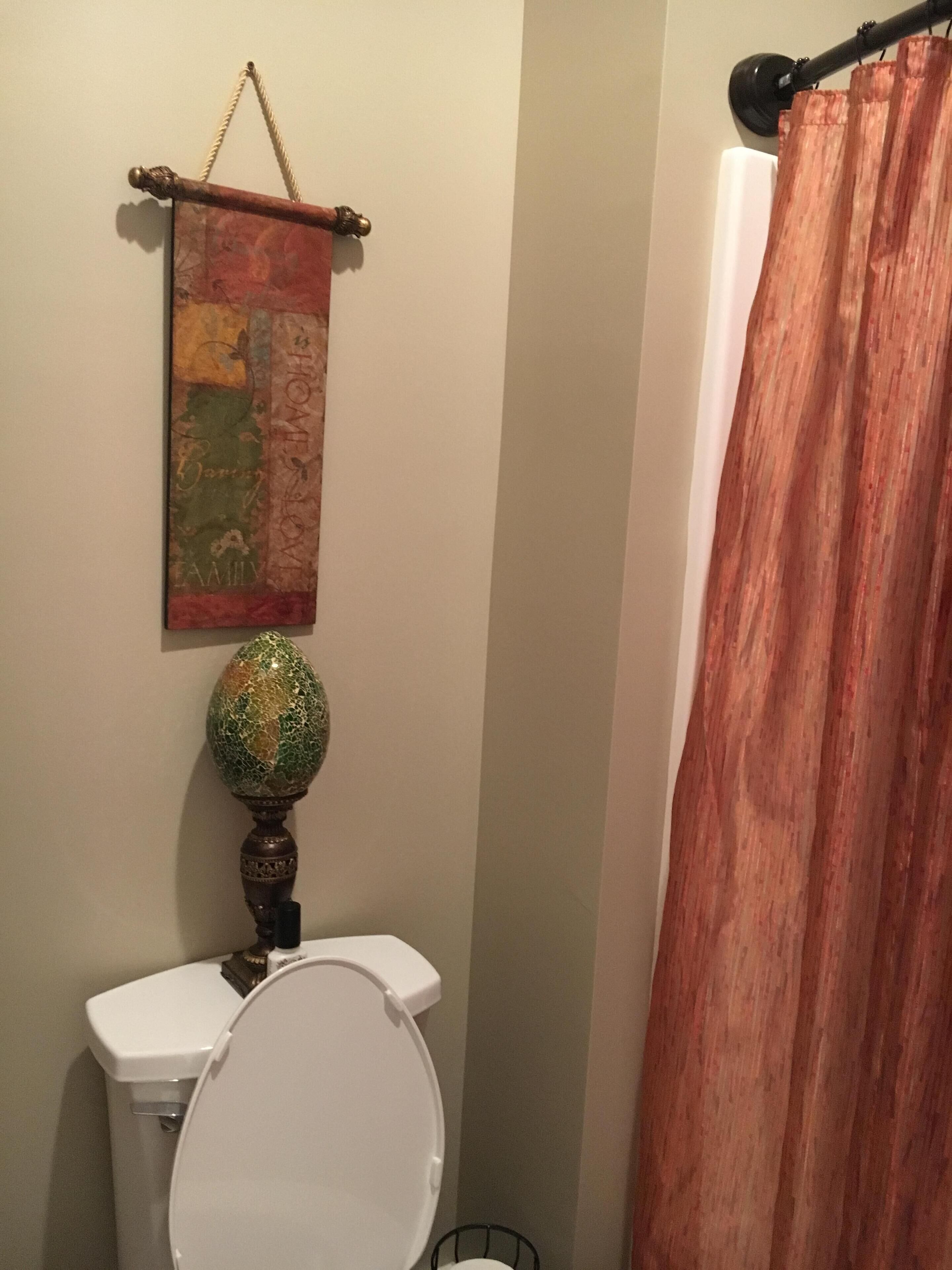 Un baño con inodoro, un globo decorativo y cortina de ducha.