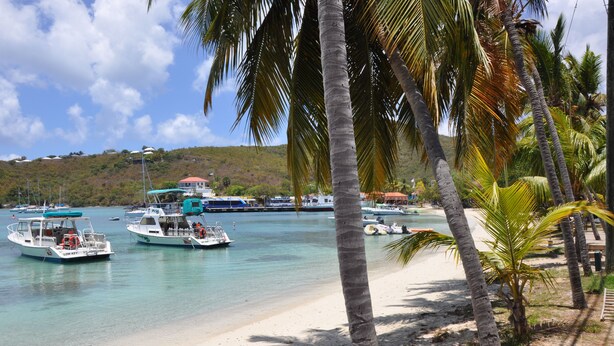 Une plage avec des bateaux amarrés près du rivage, des palmiers et une colline en arrière-plan.
