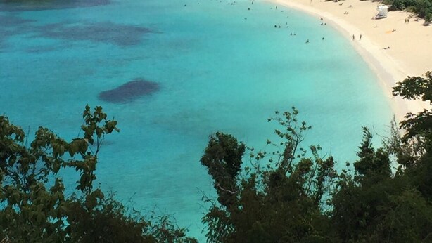 A beach with clear turquoise waters, surrounded by lush green hills and a few scattered trees. - Grande Bay Resort - Mojo Blue Luxury Studio Beachfront! (Cruz Bay)