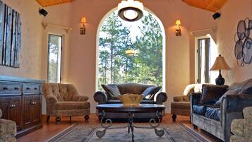 Smart TV, fireplace, DVD player, books