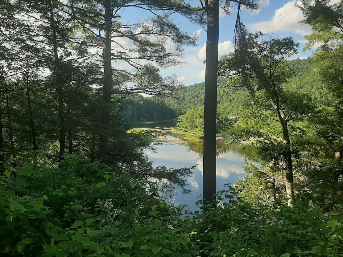 Una zona boscosa i tranquil·la amb un riu serè, vegetació abundant i arbres alts.