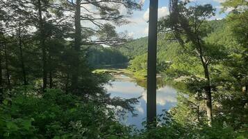 Una zona boscosa i tranquil·la amb un riu serè, vegetació abundant i arbres alts.