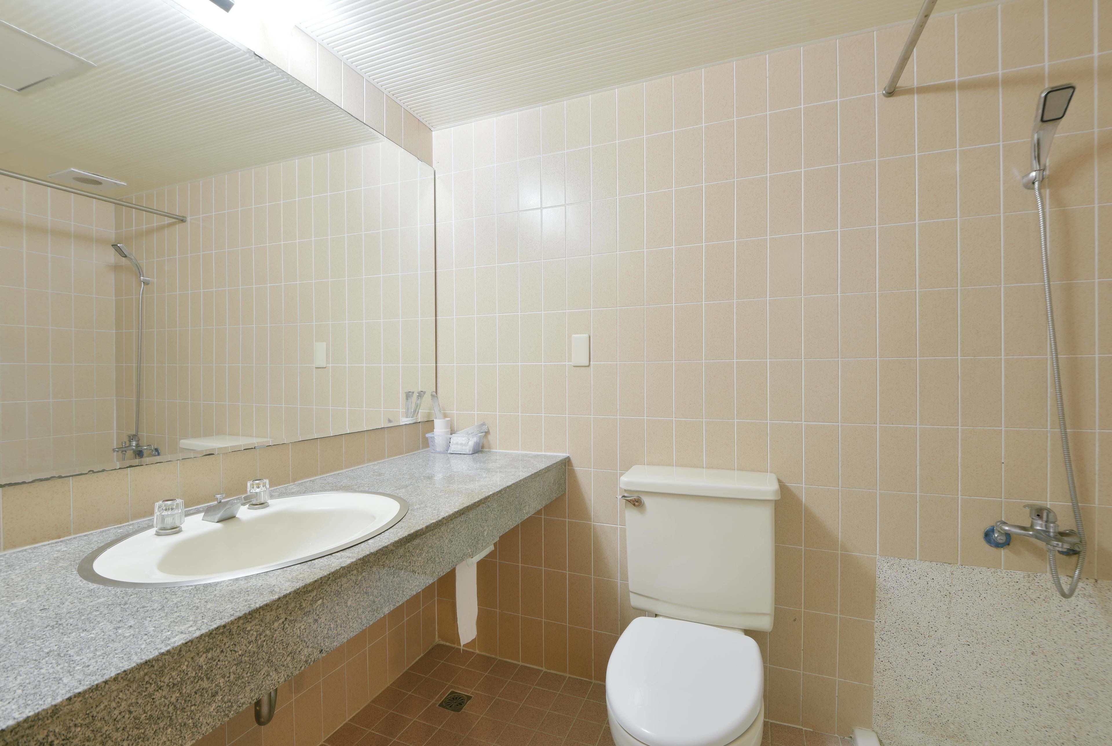 Un baño con lavabo, inodoro y ducha.