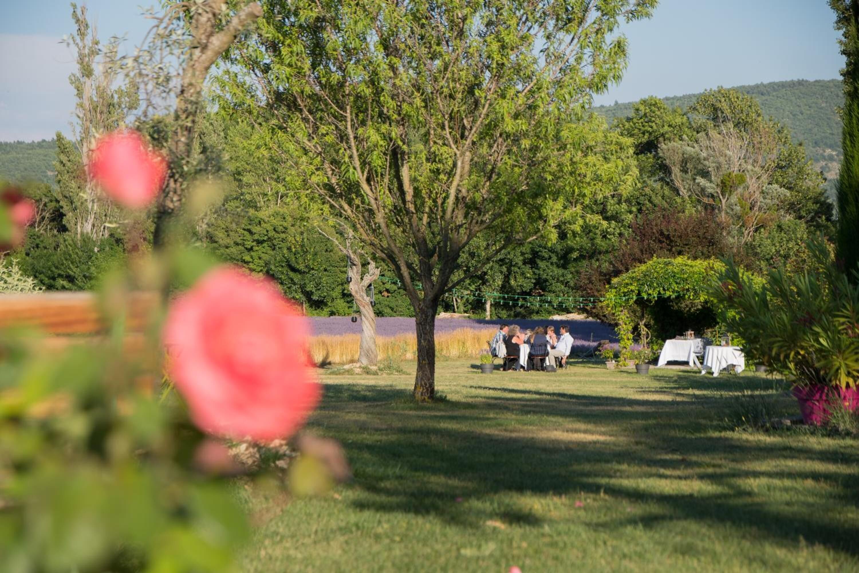 A tree-lined outdoor area with a group of people gathered around a table, possibly for a meeting or event.