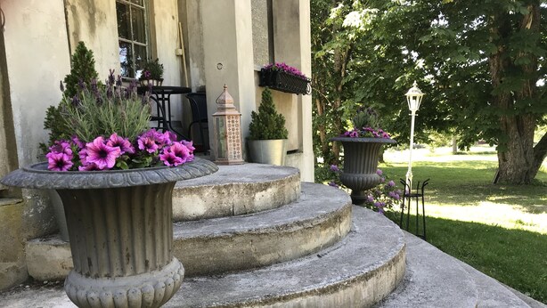 A set of stone steps leading to a building entrance, with potted plants and a lantern on the steps. - Berg Säteri (Vase)